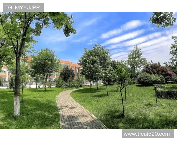 西安篮球队技术实力大幅提升引发关注创新高成就令人瞩目